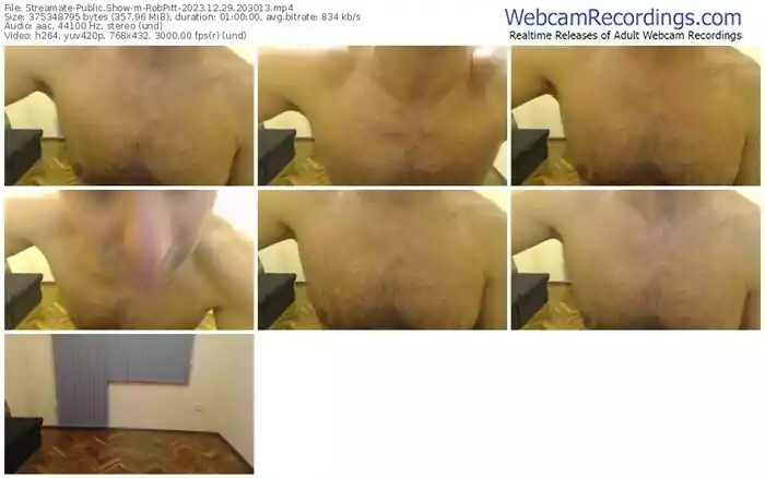 streamate-robpitt-12-29-2023-20-30-13