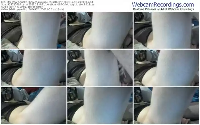 streamate-averagehousebunny-12-30-2023-23-53-53