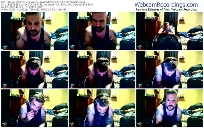 streamate-hawkina239-12-30-2023-06-24-49