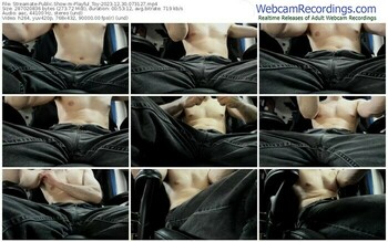 streamate-playful_toy-12-30-2023-07-31-27
