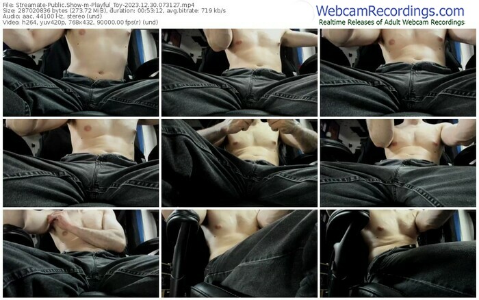 streamate-playful_toy-12-30-2023-07-31-27
