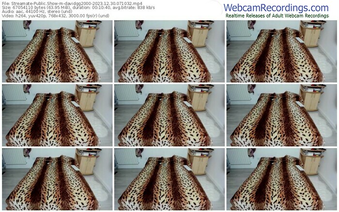 streamate-davidgg2000-12-30-2023-07-10-32