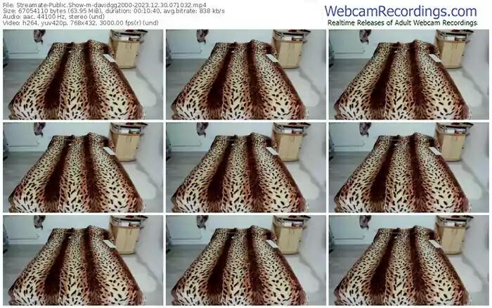 streamate-davidgg2000-12-30-2023-07-10-32