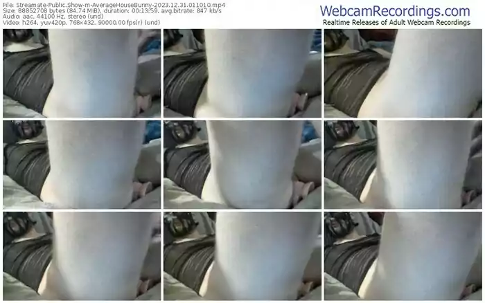 streamate-averagehousebunny-12-31-2023-01-10-10