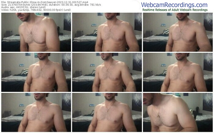 streamate-domsawyer-12-31-2023-00-15-27