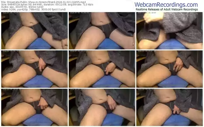 streamate-nineinchhard-01-02-2024-13-24-55