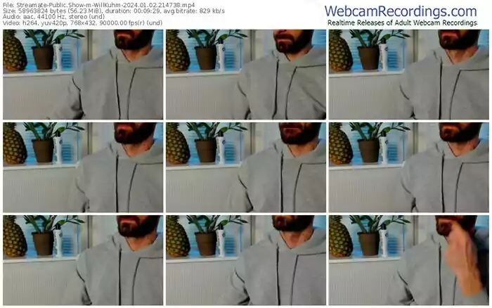 streamate-willkuhm-01-02-2024-21-47-38