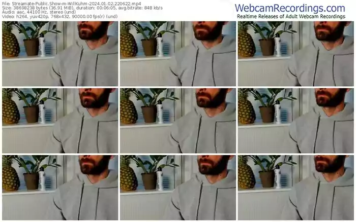 streamate-willkuhm-01-02-2024-22-06-22