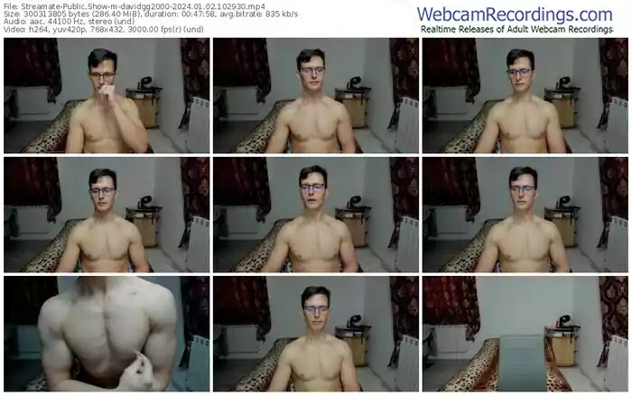 streamate-davidgg2000-01-02-2024-10-29-30