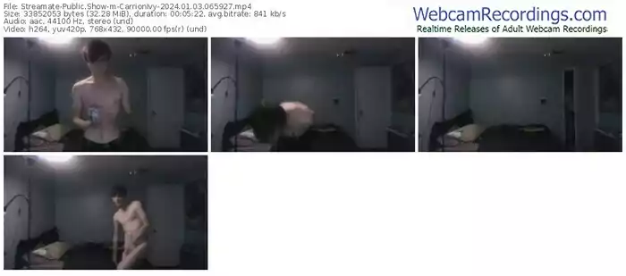 streamate-carrionivy-01-03-2024-06-59-27