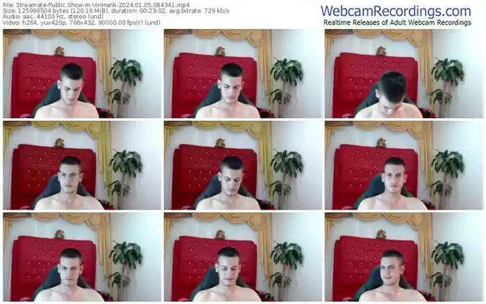 streamate-vinhank-01-05-2024-08-43-41