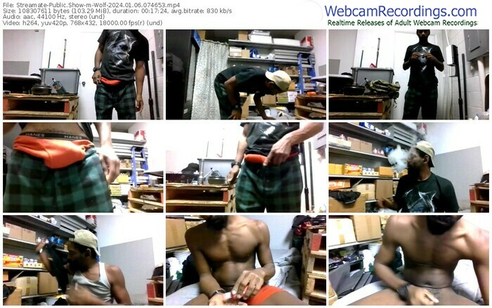 streamate-wolf-01-06-2024-07-46-53