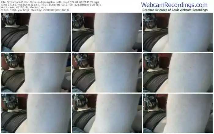 streamate-averagehousebunny-01-08-2024-21-41-35