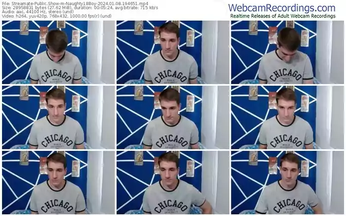 streamate-naughty18boy-01-08-2024-19-46-51