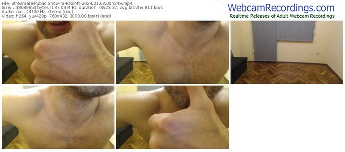 streamate-robpitt-01-08-2024-00-42-49