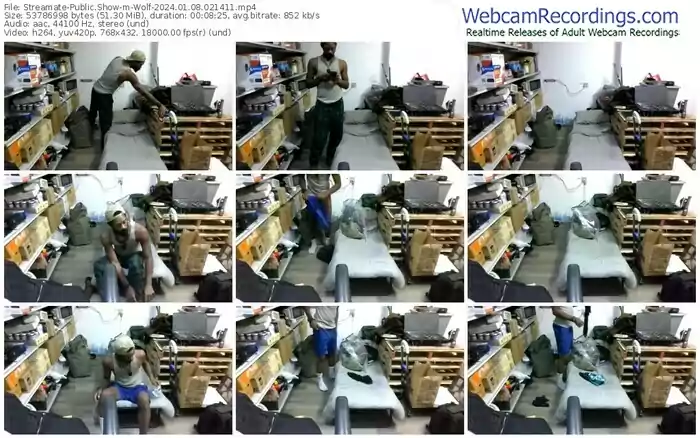 streamate-wolf-01-08-2024-02-14-11