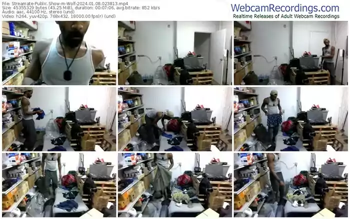 streamate-wolf-01-08-2024-02-38-13