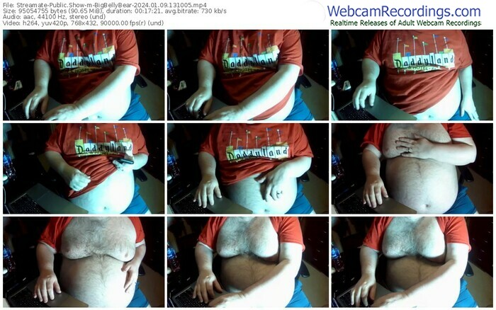 streamate-bigbellybear-01-09-2024-13-10-05