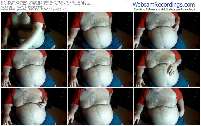 streamate-bigbellybear-01-09-2024-14-16-31