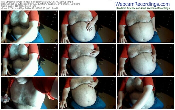 streamate-bigbellybear-01-09-2024-15-01-14