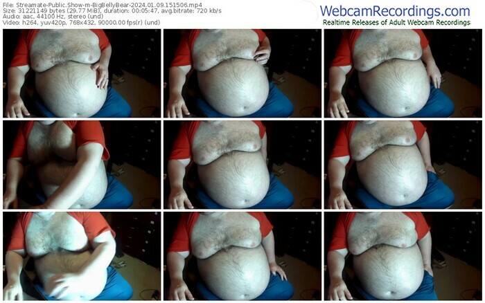 streamate-bigbellybear-01-09-2024-15-15-06