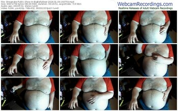 streamate-bigbellybear-01-09-2024-16-07-59