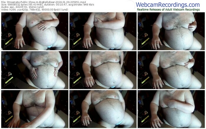 streamate-bigbellybear-01-09-2024-20-59-51