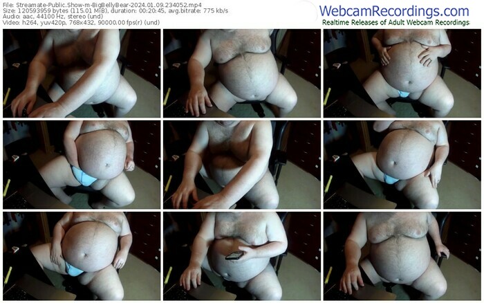 streamate-bigbellybear-01-09-2024-23-40-52