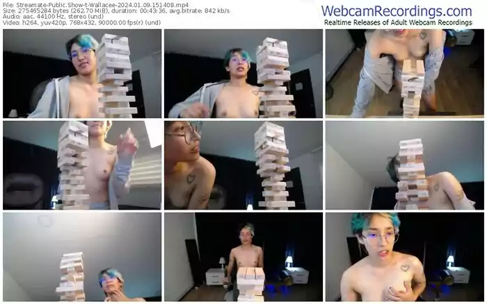 streamate-wallacee-01-09-2024-15-14-08