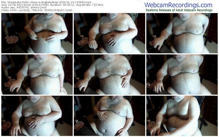 streamate-bigbellybear-01-10-2024-12-04-46