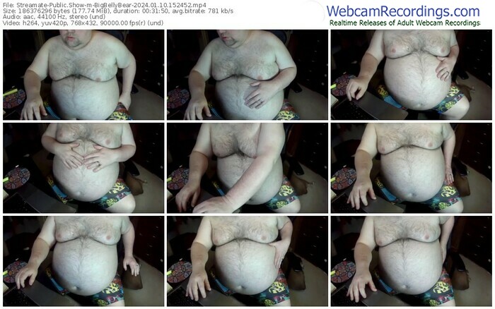 streamate-bigbellybear-01-10-2024-15-24-52