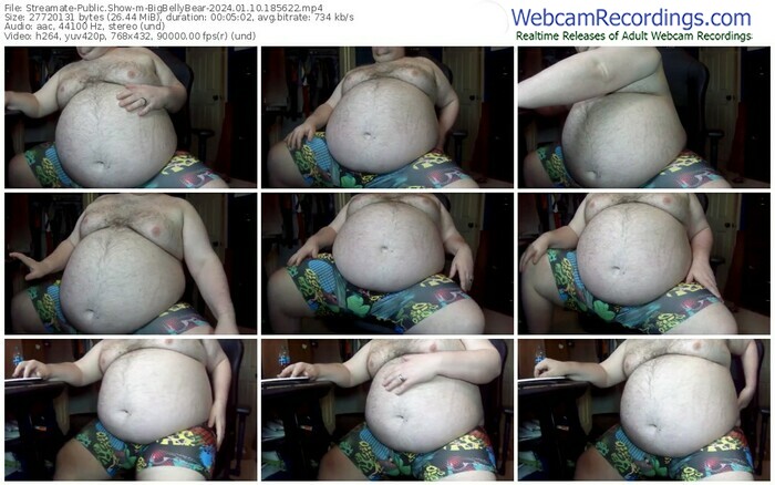 streamate-bigbellybear-01-10-2024-18-56-22