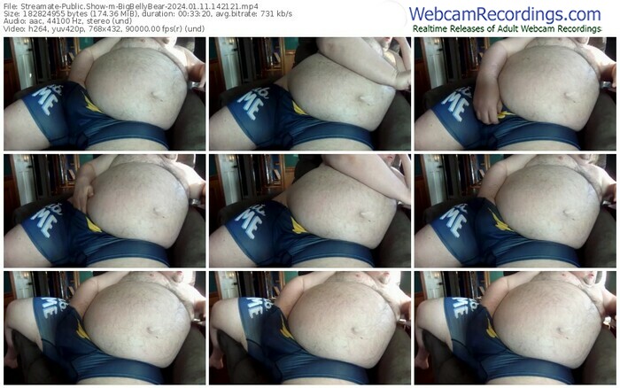 streamate-bigbellybear-01-11-2024-14-21-21
