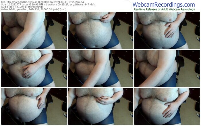 streamate-bigbellybear-01-11-2024-17-25-59