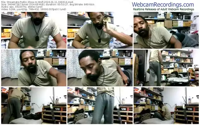 streamate-wolf-01-11-2024-04-04-14