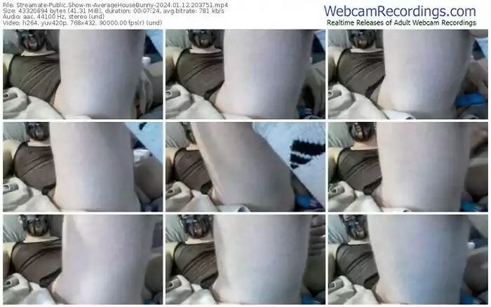 streamate-averagehousebunny-01-12-2024-20-37-51