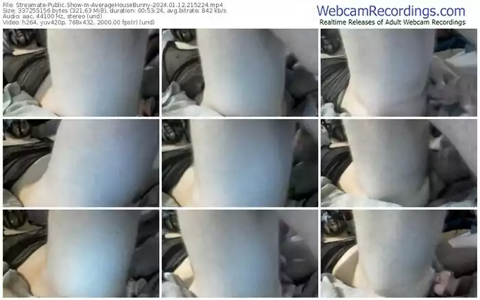 streamate-averagehousebunny-01-12-2024-21-52-24