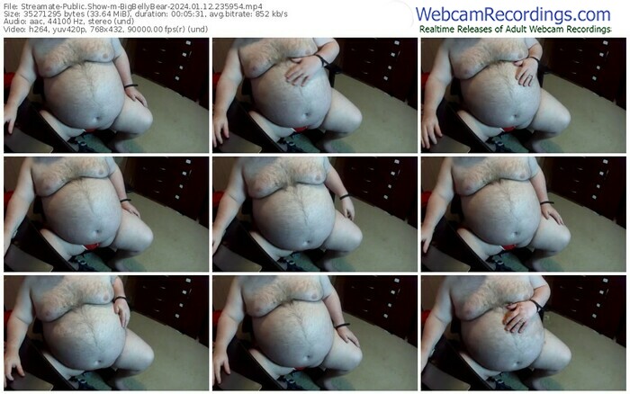 streamate-bigbellybear-01-12-2024-23-59-54