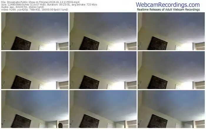 streamate-thronej-01-12-2024-11-55-09