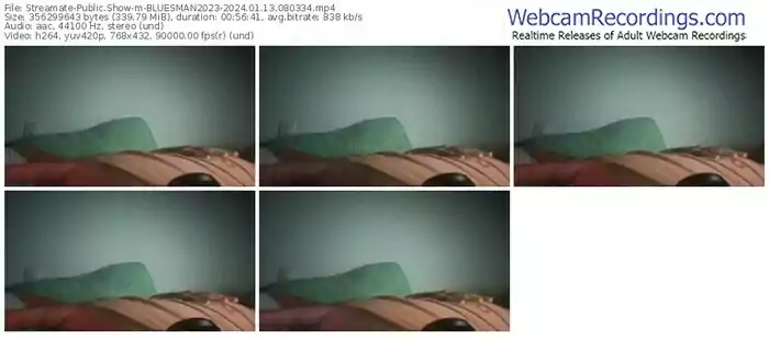 streamate-bluesman2023-01-13-2024-08-03-34