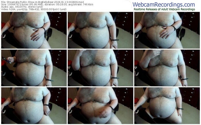 streamate-bigbellybear-01-13-2024-00-28-09