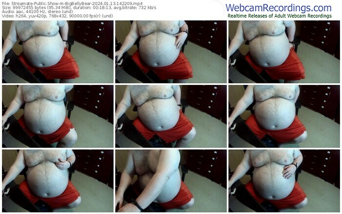 streamate-bigbellybear-01-13-2024-14-22-09