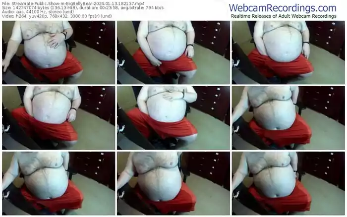 streamate-bigbellybear-01-13-2024-18-21-37