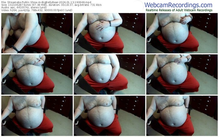 streamate-bigbellybear-01-13-2024-19-06-48