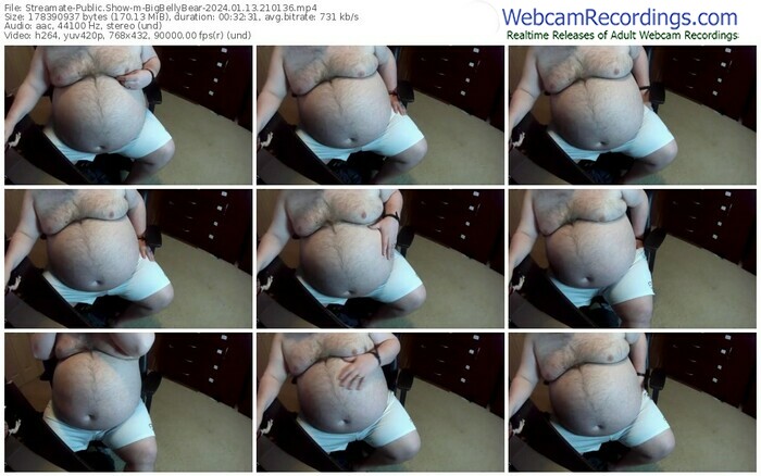 streamate-bigbellybear-01-13-2024-21-01-36