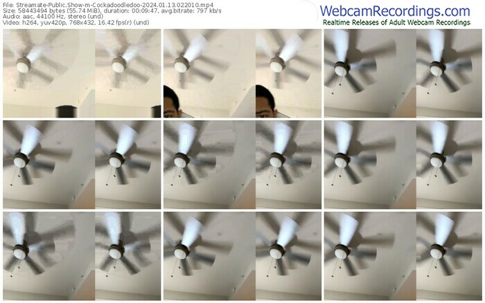 streamate-cockadoodledoo-01-13-2024-02-20-10