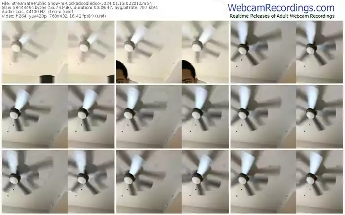 streamate-cockadoodledoo-01-13-2024-02-20-10