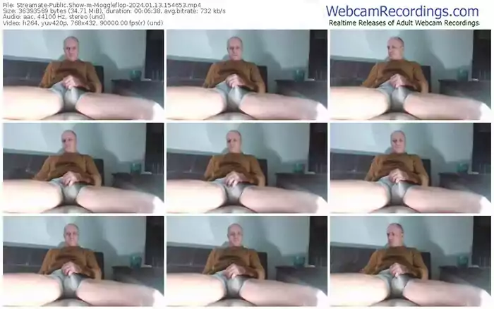 streamate-moggleflop-01-13-2024-15-46-53