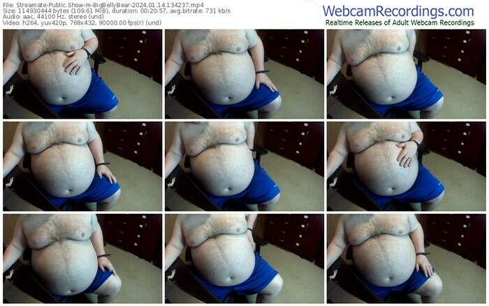 streamate-bigbellybear-01-14-2024-13-42-37
