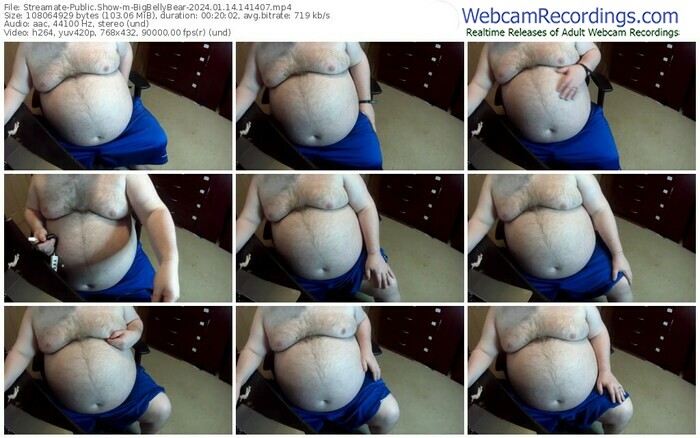 streamate-bigbellybear-01-14-2024-14-14-07